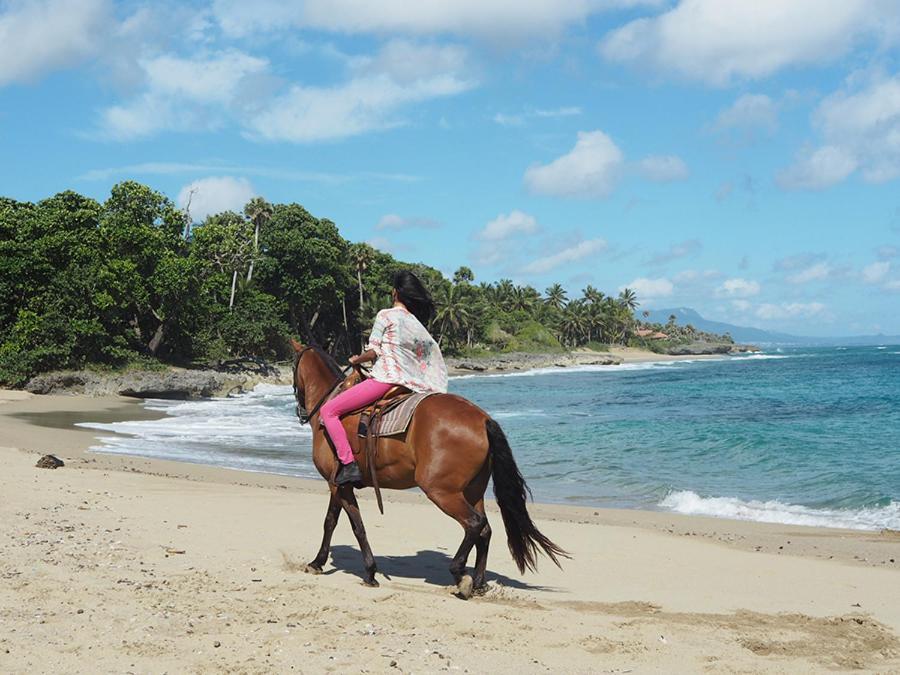 Sea Horse Ranch Vila La Mulata Exterior foto